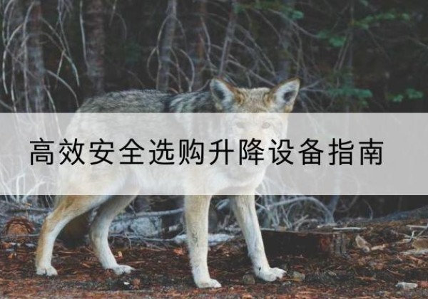 玉龙升降货梯厂家推荐-*安全选购升降设备指南