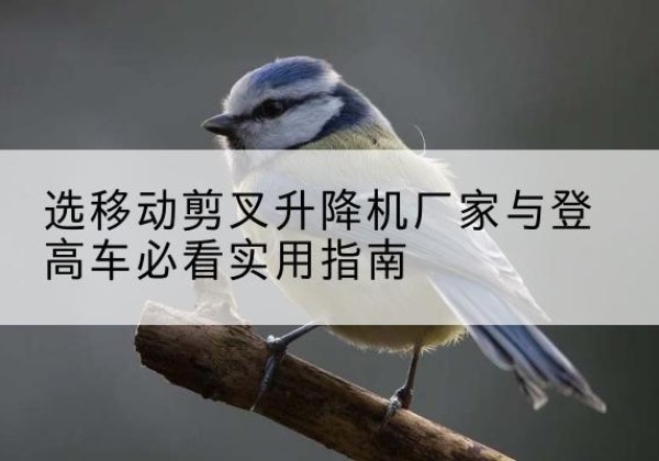 玉龙电动升降机厂家-选移动剪叉升降机厂家与登高车必看实用指南