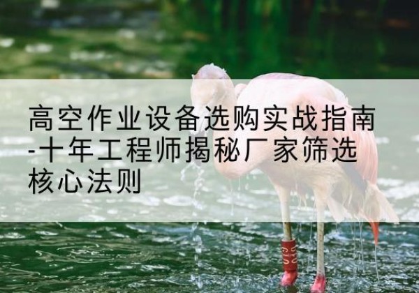 玉龙剪叉式升降机厂家-高空作业设备选购实战指南-十年工程师揭秘厂家筛选核心法则